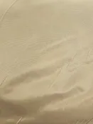 10500 Yamuna Sienna