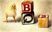 a chick off the old block...