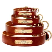 Arturo Deluxe Leather Personalized Dog Collar