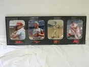 Cincinnati Reds Legends Framed Set 14 x 39