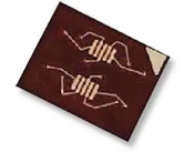 0.5mm 8- and 10-Pin MSOP-to-0.300″ DIP Adapter – P/N 1111841-X