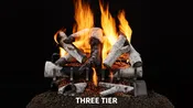 Grand Birch Gas Log Set