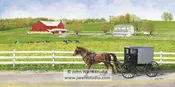 Amish Buggy Ride