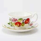 Eden Teacup &amp; Saucer Oban