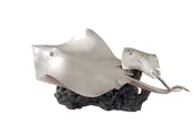 Ray