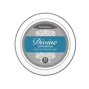 10.25" Divine Plates 12ct