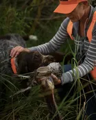 Training Deposit — Bald Mountain Labradors