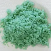 Hornworm Eggs BULK