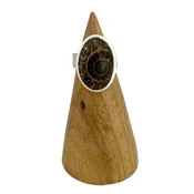 Ammonite Ring - Size 6