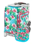 Blue Bayou Sport + Lunchbox
