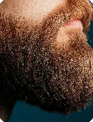 FUE Beard or Eyebrow Consultation