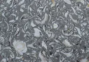 OYSTER REEF