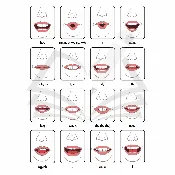 Articulation Cards