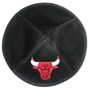 Chicago Bulls