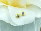 Aquamarine stud earrings — The Passdoor