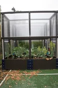 Enclosed Raised Garden Bed Kit 4ft X 10ft