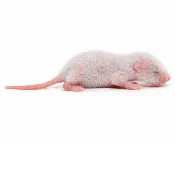 Fuzzy Mice