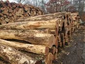 Kiln-Dried Hardwood