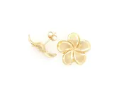 Plumeria #5 post earrings