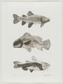 3 Fish