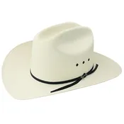 10X Rancher by Stetson