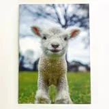 1818 Farms Journal -Lamb