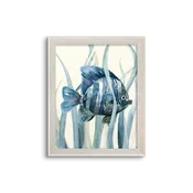 blue kelp fish 01