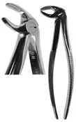 #13 English Forceps  (Z-1008)