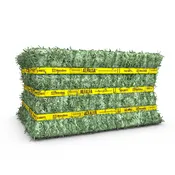 Certified Alfalfa Compressed Bale - 50lbs