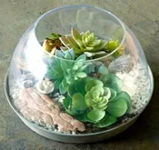10" NAPA TERRARIUM GREY