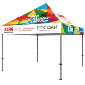 10ft x 10ft Full Custom Canopy and Frame