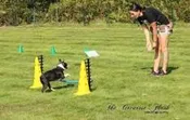 Rally Obedience