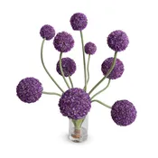 Allium Arrangement