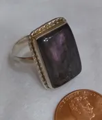 Bold Labrador Rectangle Ring