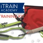 iTrain Academy Dog Training Kit