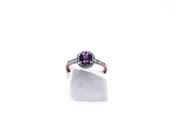 Garnet Diamond Halo Ring — Langert Netzband Fine Jewelers