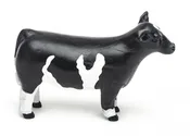 Champion Show Steer Crossbred