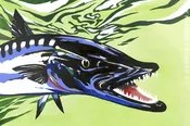Barracuda Bright Ltd Edition Giclee on Paper