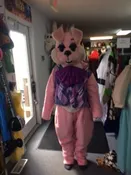 Pink Bunny Easter Bunny