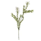 33" Bottle Brush Spray