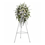 Sentiments of Serenity Spray