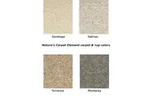 Element Area Rugs