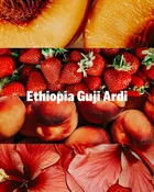 Ethiopia Guji Ardi