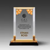 6.5" Billboard Impress Award