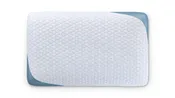 Bear Pillow
