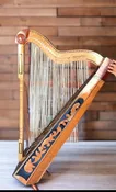 ARPAS/ HARP  DON CORTEZ JALICIENSE DCA901-MARIACHI/ hard case and pick up