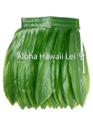 Adult Ti Leaf Skirt