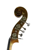 FG839 Pollman 5 String Base — Finlay + Gage Musical Instruments