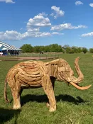 Baby Elephant Teakwood Sculpture