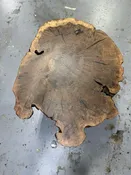 Burled walnut cookie cocktail table — Indy Urban Hardwood Company